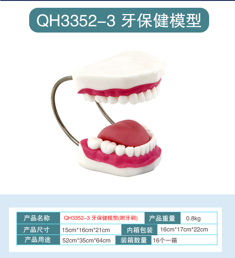 牙保健模型_11.jpg