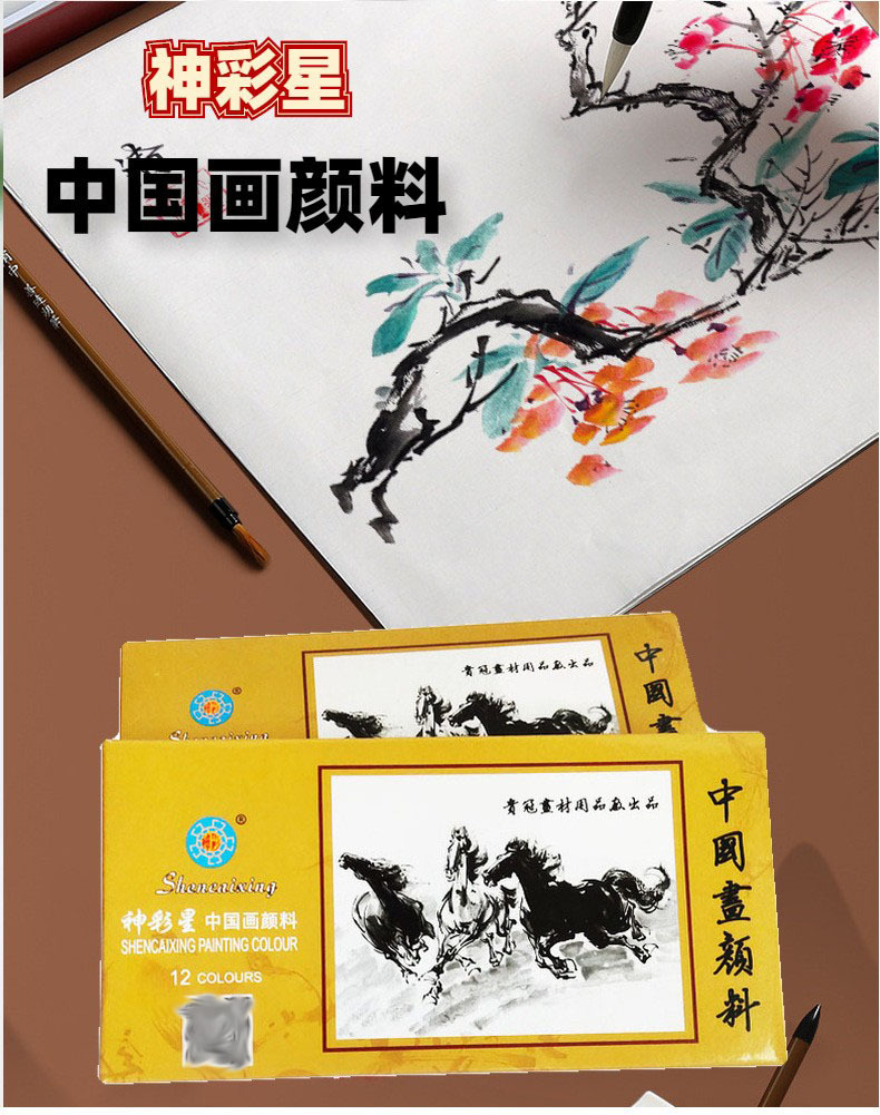 Shencai Star Chinese Painting Paint Set for Beginners, Children's Tube Set, 12 Colors, 5ml Gongbi In
