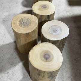 原木香樟木树墩树桩木桩凳坐凳子花架根雕茶几实木大底座墩子木墩