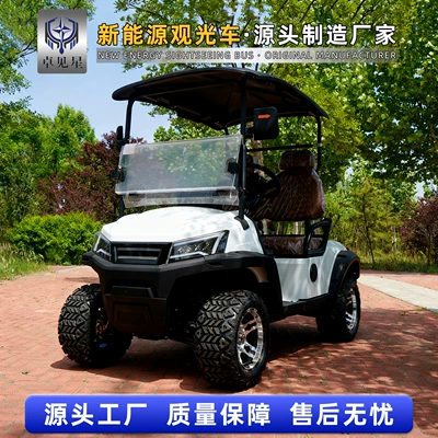 Trade Export Sightseeing Car | Elektrikli qolf avtomobilləri