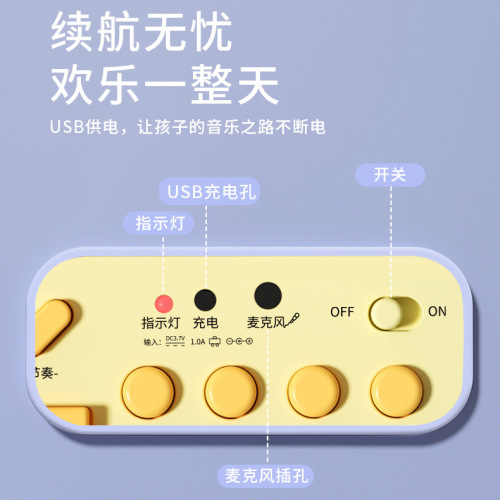 Children's electronic keyboard toy for beginners with microphone and playable piano for girls music toy set