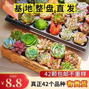 �B�����ֲ���ײͽM�����֎���������w���B��¶�ҵ��Gֲ�҃�