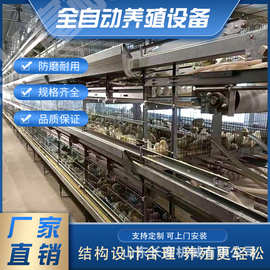 鹌鹑笼鸽子笼肉鸡H型自动蛋鸡笼层叠式肉鸡A型鸡笼多层养殖笼鸡笼