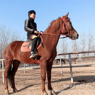 �������T���R ��ِ���R �^�p�R �����е��B�R�� С���R�r��