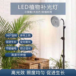 Greenhouse Full-Spectrum Vegetable and Succulent Supplementary Light for Flowers and Fruits, Aquatic Green Plants, and Plant Growth Supplementary Light