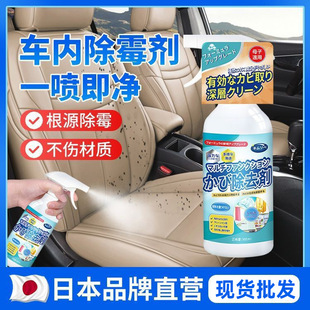 Mildew Remover in the Car, Car Interior Mold Cleaning, Leather Seat Roof Mildew Removal, Mildew Cleaner