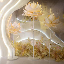 ��ɏ�������� ��ɏ�� ��ɏ���滨 ��Y���� ��ˇ�� lowa flower