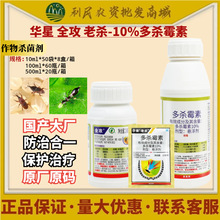 AϚ 10%ùС׵ԭZZxxrș