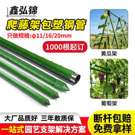 跨境专供爬藤架子豆角支架爬藤杆丝瓜黄瓜架植物爬藤架包塑钢管