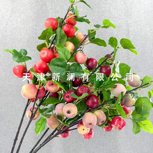 �羳���l���������շ��滨��Y�ñ���ܛ�b�廨�Ҿӿ͏d���üٻ�