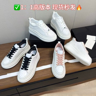 С���L�߰汾�F2026�����¿�����؈Ь�����\��Ь���m͸�����eЬ