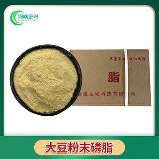 供应食品级大豆磷脂粉末磷脂 颗粒磷脂 改性磷脂粉末