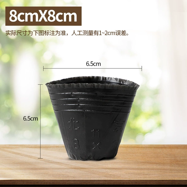 8 × 8 (500) solid ruler 6.5*6.5