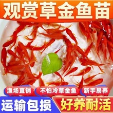 ���؃r�~���B�����Ľ��~�^�p�~��ؔС���~���l�ͻ���B��ˮ���~