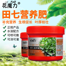 ���ߌ��àI�B���˅��������������辰����ͥ�̨�ļ��B�o�ˈ@�÷�