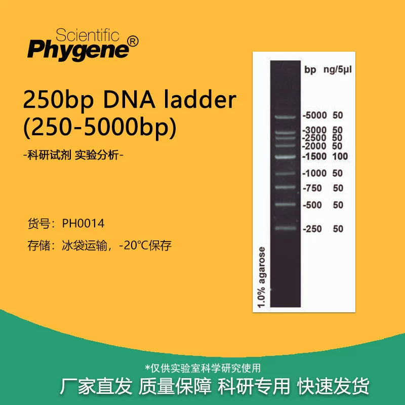 250bp ДНК Marker ladder (250-5000bp) 100T [PH0014 PHYGNE]