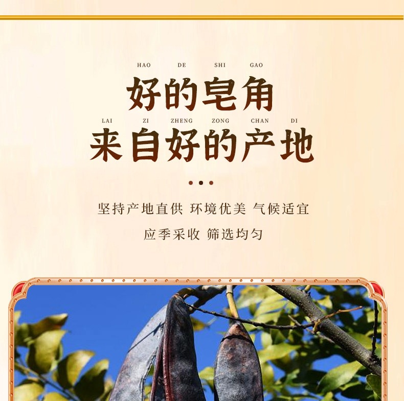 Chinese Honey Locust Zao Jiao 皂角 Dried Gleditsia sinensis Pods Traditional Herbal Decoction Ingredient 500g key features