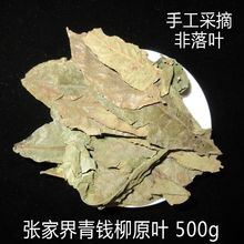 ҽҰŘX~1000gX~X~500100g