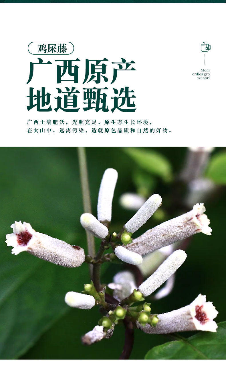 Ji Shi Teng Chicken Vine Herb with Atractylodes 500g Dried Chinese Herbal Blend for Decoction and Tea key features