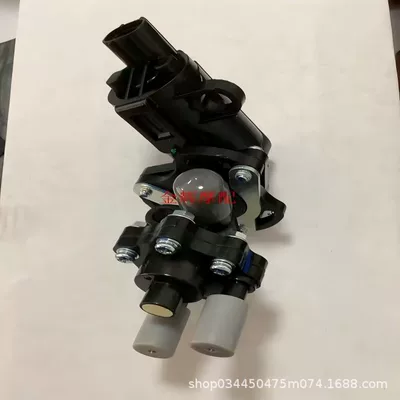 Yanacaq injektoru (Forsunka) Iv Electronic Fuel Injection Cgwh125-19