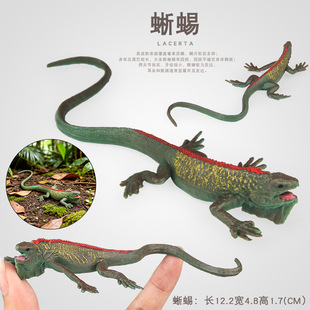 �羳�������ģ�͌����������Ӵ��o��������󢃺ͯ�J֪��ߔ[��