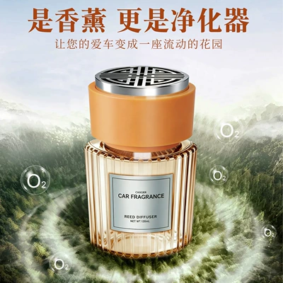 Men, Car Perfume to Remove | Car Perfume Aromatherapy