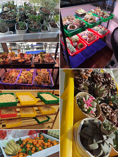 ���ϱP���������D������ռ{�����z�P�L�������Ϻ� ���Ϸ��P�\�P