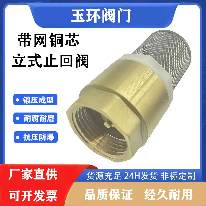 带网铜芯止回阀6分内螺纹井底阀进水防倒流弹簧逆止阀中压适用