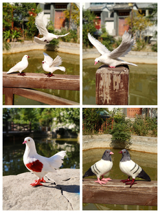 ���Ӕ[����������ż��c�b�������ģ���B�ƽ���˱�����