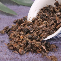 中藥材批發 蜂屍 蜜蜂屍新貨無硫蜜蜂屍體產地貨源直發昆蟲類大全