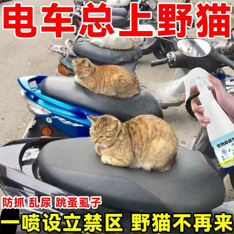 Отпугивание кошек от собак