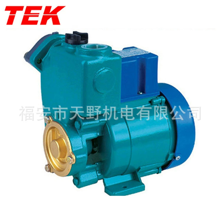 Заводская поставка GP125 GP-125 GP250 GP-250 самовсасывающий вихревой насос из чугуна из медной проволоки