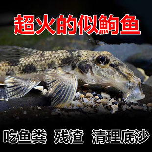 ���L�~ �����~ ԭ����ˮ�~��ɰ�����~ �����C������~����w�~