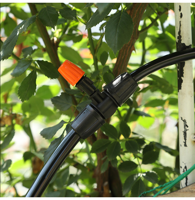 O1CN01QNq5Ld1D2PLlq2BJD_!!2200