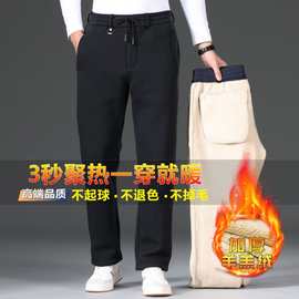 男士羊羔绒裤子加绒加厚休闲裤男中老年男裤冬季保暖裤外穿棉裤86