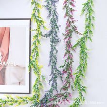 �羳����Gɫ�ȼ������X�~�ٗl����~�ڒ��c�Ҿ��b���ֲ��