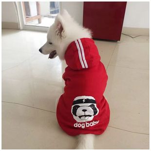 �����·������_���ı�͸���д���Ȯ��a����ë�����x��ë�_ĦҮ