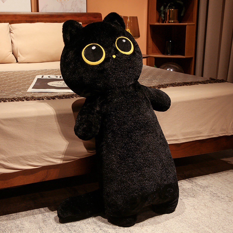Black cat