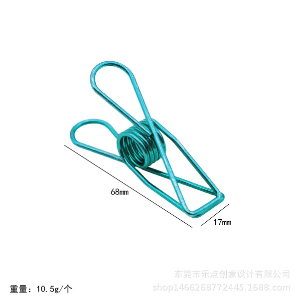 대형 블루