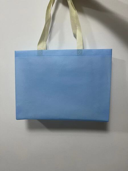 Bag non-woven cloth