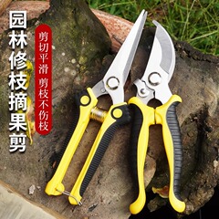 剪定鋏、園芸専用ステンレスはさみ、家庭用省力剪定、果樹剪定、果実摘み取り加工品