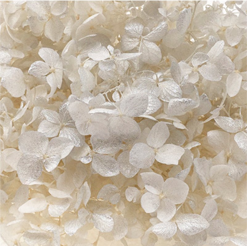 Anna Hortensia blanco + silver-20g/caja