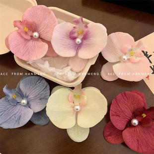�Շ��к����m���滨��l�A���������^�߅�����A����������l��