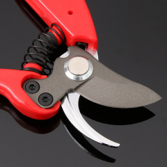 Sakawada 7025 Pruning Shears Garden Tool Fruit Tree Pruner Landscape Gardening Flower Trimming Pruning Fruit Branch Small Scissors