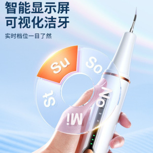 Ultrasonic Tooth Cleaner Dentist Dental Calculus Removal Tooth Smoke Stains Dirt Cleaning Household Tooth Cleaner