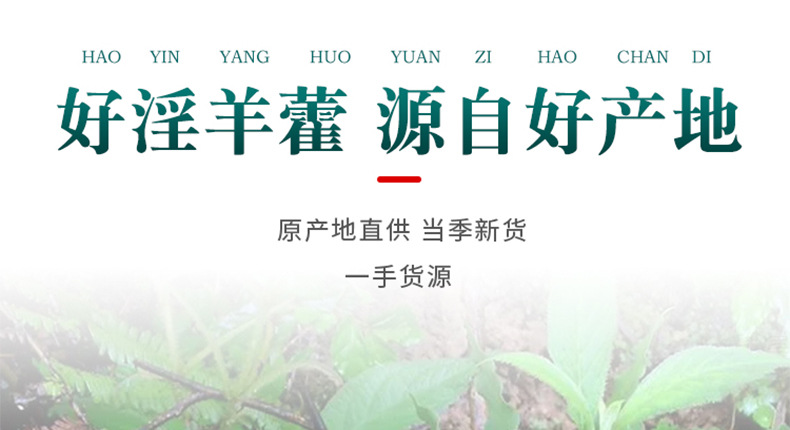 Epimedium Yin Yang Huo Dried Herb 500g Gansu Small Leaf for Herbal Wine Infusion key features