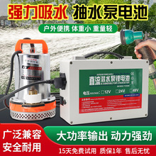 ��yʽ�����ˮ���늳�12V24V48Vֱ����ˮ�ô������늳�