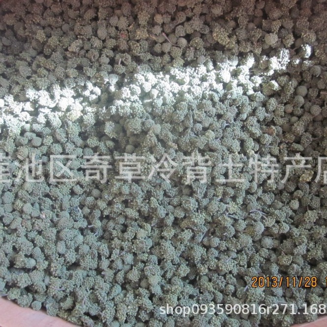 三七花,田七花,花茶三七花,一件一斤,大货批发中药材三七花