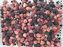 工廠直銷批發出口速凍冷凍混合莓水果草莓黑莓黑加侖樹莓