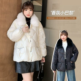 大码连衣裙;大码T恤;大码半身裙